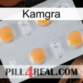 Kamgra 24